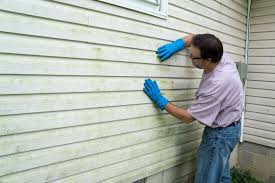 Affordable Siding Repair and Maintenance Services in Gardnerville Ranchos, NV